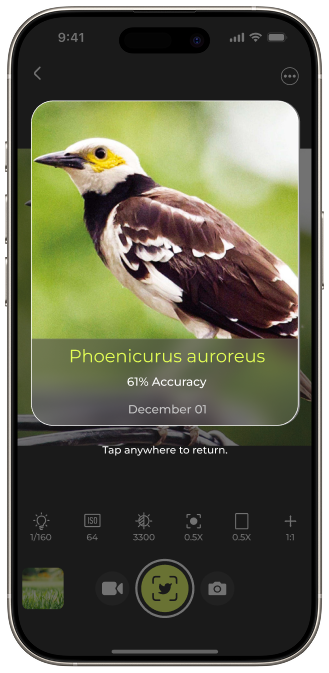 Group 49681.png__PID:f33732a2-5bec-4477-9042-aeac3ab3a280